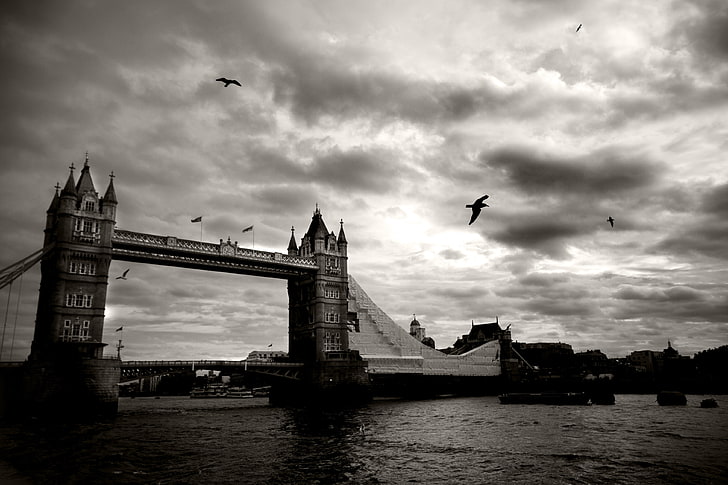 Tower Bridge, London, the sky, clouds, birds, bridge, the city, river, black and white, London, Thames, UK, tower bridge, HD wallpaper