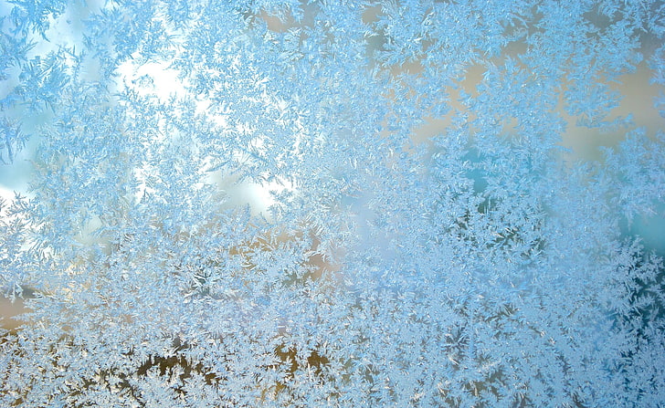 Eisiges Fenster, weiße Schneeflocken, Jahreszeiten, Winter, Kälte, Fotografie, Fenster, Nahaufnahme, eisiges Fenster, frostiges Fenster, Winterfenster, eisige Blumen, HD-Hintergrundbild