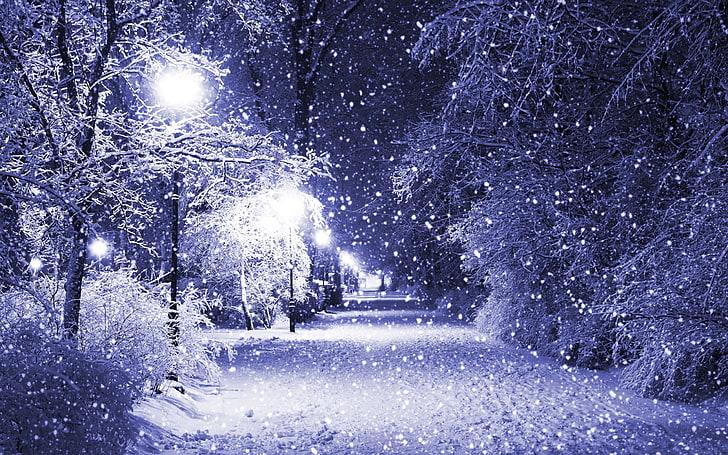 зима, снег, ночь, парк, дорожка, деревья, HD обои