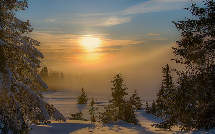 Landscape, Nature, Sunset, Winter, Mist, Forest, Snow, Trees, Cold, landscape, nature, sunset, winter, mist, forest, snow, trees, cold, 1920x1200, HD wallpaper