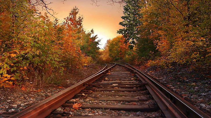 Autumn Rails, pohon, hutan, warna, kereta api, trek, 3d dan abstrak, Wallpaper HD