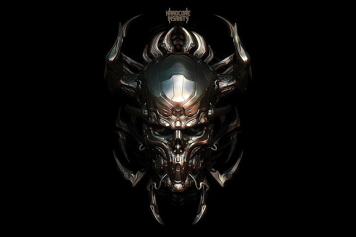 Hardcore Insanity emblem, style, music, skull, horns, hardcore, metal, hardcore insanity, HD wallpaper