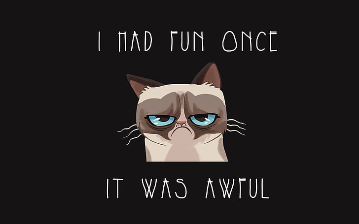 gato beige y negro con superposición de texto, humor, gato, Grumpy Cat, dibujos animados, animales, tipografía, fondo negro, fondo simple, Fondo de pantalla HD