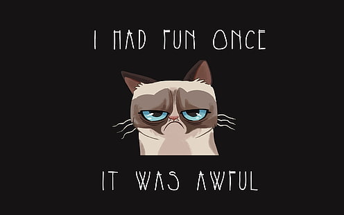 beige and black cat with text overlay, humor, cat, Grumpy Cat, cartoon, animals, typography, black background, simple background, HD wallpaper HD wallpaper