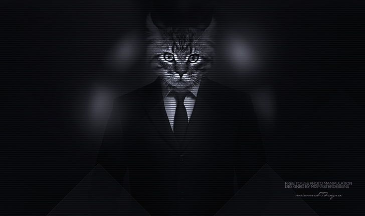 gray tabby cat illustration, Kitty, cat, big cats, majestic casual (channel), photo manipulation, men, classy, suits, HD wallpaper