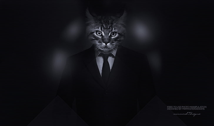 Kitty, classy, photo manipulation, cat, men, majestic casual (channel), big cats, suits, HD wallpaper