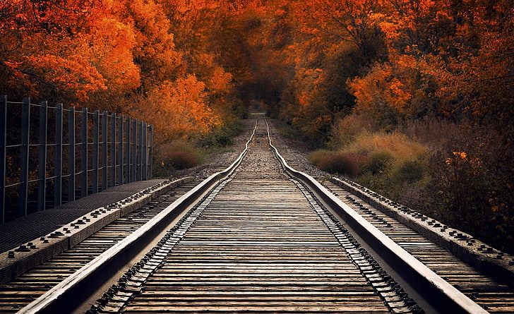 منظر من جسر السكة الحديد الخريف ، مسار السكك الحديدية البني ، الفصول ، الخريف، خلفية HD