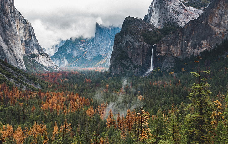 waterfalls near garden and mountain during daytime, wilderness, mountains, forest, Yosemite National Park, Yosemite Valley, HD wallpaper