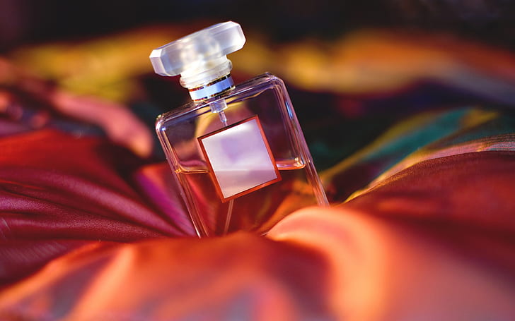 Perfume HD, papel de parede de frasco de vidro de perfume, fotografia, perfume, HD papel de parede