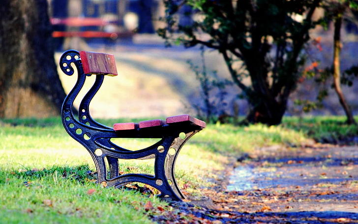 pink and blue chair with metal base, greens, autumn, grass, leaves, trees, bench, Park, background, tree, widescreen, Wallpaper, mood, foliage, shop, lava, falling leaves, path, square, full screen, HD wallpapers, fullscreen, HD wallpaper