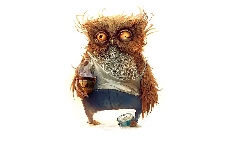 personnage de dessin animé hibou brun, café, hibou, matin, animaux, humour, œuvres d'art, oiseaux, Fond d'écran HD