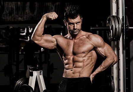 Men, Model, Bodybuilding, Man, Muscle, HD wallpaper HD wallpaper