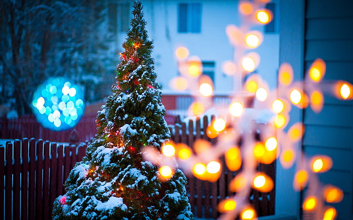 Рождественский вечер light-2016 Обои с Рождеством, зеленая новогодняя елка, HD обои
