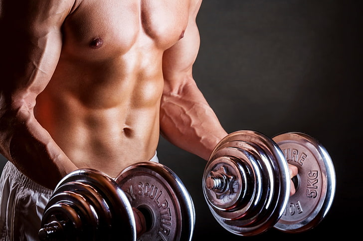 two gray dumbbells, body, athlete, bodybuilding, man, dumbbells, HD wallpaper