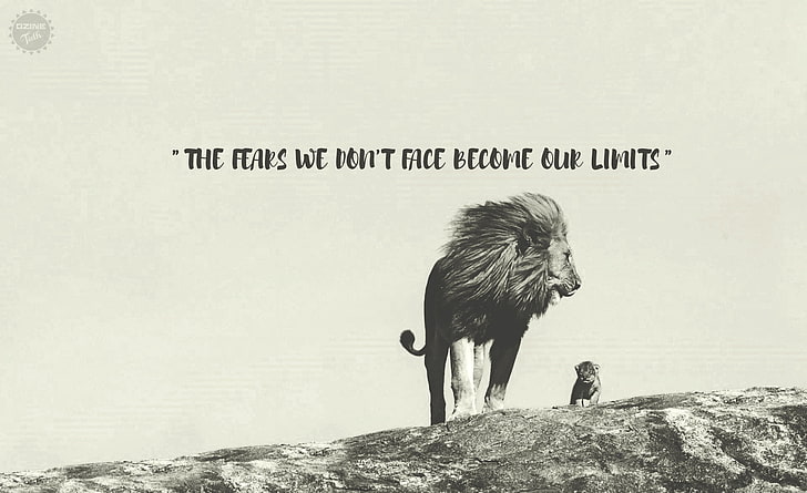 Fear, Artistic, Typography, Fear, Quote, HD wallpaper