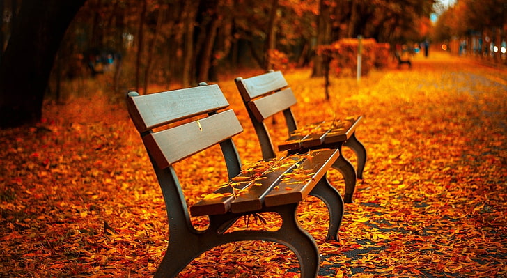 Ławka jesienna, dwie brązowe drewniane ławki z czarną metalową ramą, Pory roku, Jesień, Tapety HD