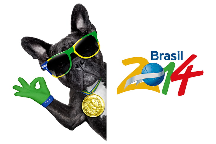 logo, dog, football, flag, funny, cool, World Cup, Brasil, FIFA, 2014, HD wallpaper