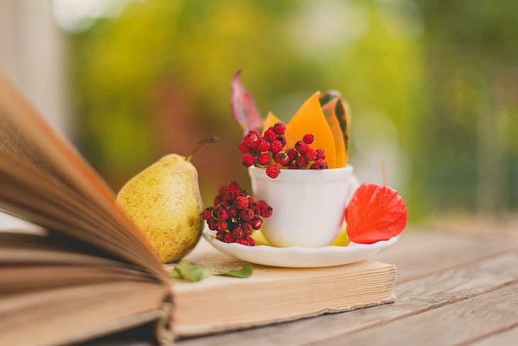 Есенен ден следобед, чаша-чинийка, круши, книга, есен, природа, плодове, листа, листа, есен, HD тапет