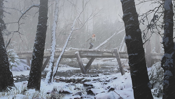 лес, зима, концепт-арт, снег, деревья, видеоигры, иллюстрации, цифровое искусство, HD обои