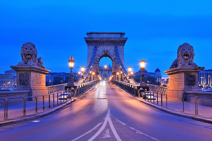 сив бетонен път, път, град, река, вечерта, осветление, светлини, лъвове, скулптура, Унгария, Будапеща, Дунав, верижен мост Сечени, HD тапет