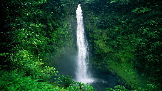 Waterfall Forest Jungle HD, przyroda, las, wodospad, dżungla, Tapety HD HD wallpaper