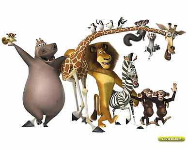 карикатура, забавлявам, хлапе, Мадагаскар, филм, HD тапет HD wallpaper