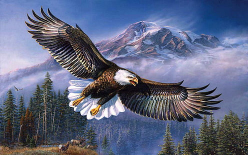 Vacker bakgrund Bald Eagle In Flight, Wings Spread Hd Bakgrundsbilder för mobiltelefoner och bärbara datorer, HD tapet HD wallpaper