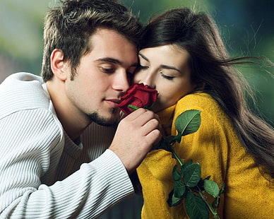 couple, romance, amour, roses, câlins, chandail blanc pour hommes, couple, romance, amour, roses, câlins, Fond d'écran HD HD wallpaper