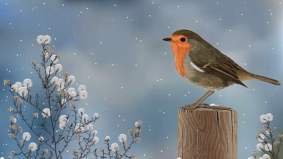 kuş, kar yağışı, kış, sanat eseri, artistik, sanat, hayvanlar, HD masaüstü duvar kağıdı HD wallpaper