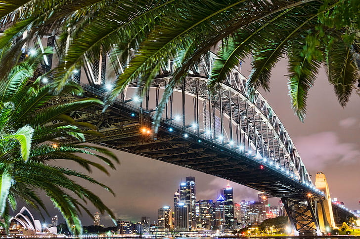 czarno-szary most nocą, sydney, sydney, północna strona, czarno-szary, noc, opera w Sydney, most Sydney Harbour Bridge, miasto mostowe, Australia, widok, palmy, sydney, nowa Południowa Walia, noc, słynne miejsce, pejzaż miejski, Tapety HD