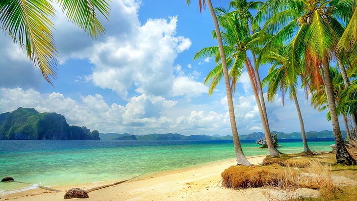 островна илюстрация, плаж, тропически, палми, природа, HD тапет
