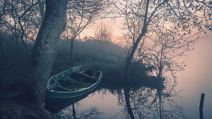 boat, reflection, mist, tree, dawn, lake, morning, lakeside, misty, reflected, reflects, mirror, fog, HD wallpaper
