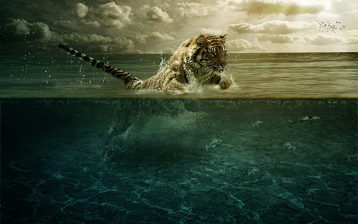 bengal tiger, tiger, jump, sea, underwater, hunting, HD wallpaper