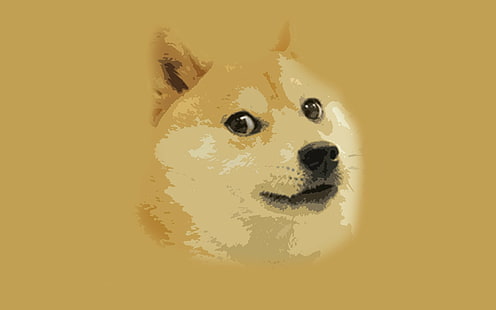 Humor, Doge, Shiba Inu, HD wallpaper HD wallpaper