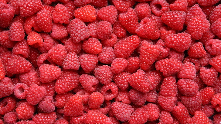 raspberry lot, food, raspberries, berries, fruit, HD wallpaper