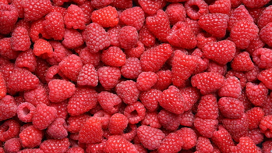 raspberry lot, food, raspberries, berries, fruit, HD wallpaper HD wallpaper