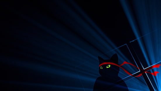 черный кот с красной банданой, Windows 10, Ninja Cat, Anniversary update, Dark, 4K, HD обои HD wallpaper
