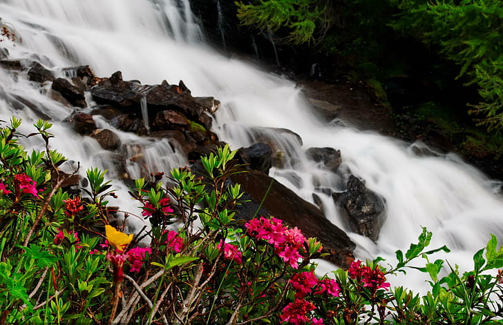 Cascades de montagne, cascade, fleurs, printemps, flottant, coloré, cascades, frais, rivière, été, ruisseau, buissons, lovel, Fond d'écran HD