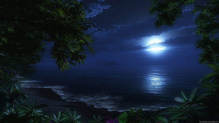 달빛 해변, 자연, 바탕 화면, 1920x1080, HD 배경 화면
