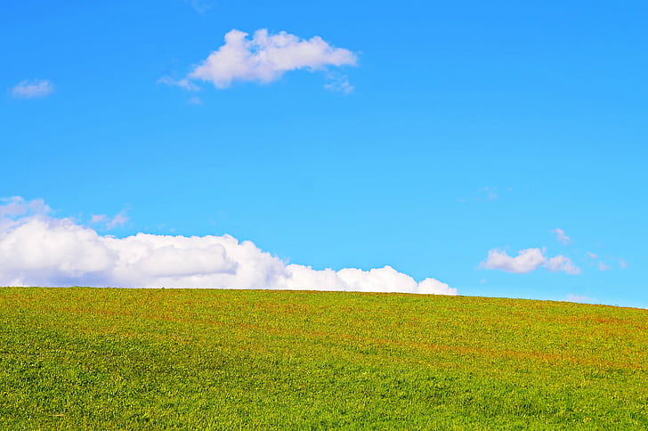 grass field during daytime, Grass, sky, field, daytime, clouds, green  blue, desktop, picture, simple, minimalistic, artistic, walk, nikon  d300, switzerland, serenity, peace, calm, two colors, windows, background, minimal, hill, day, nature, blue, meadow, summer, outdoors, rural Scene, green Color, agriculture, landscape, springtime, season, cloud - Sky, land, backgrounds, pasture, HD wallpaper