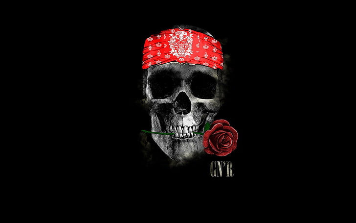 czaszka minimalizm GNR różany pałąk rock and roll Guns N Roses, Tapety HD