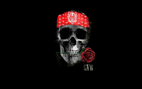 crâne minimalisme GNR rose bandeau rock and roll Guns N Roses, Fond d'écran HD HD wallpaper