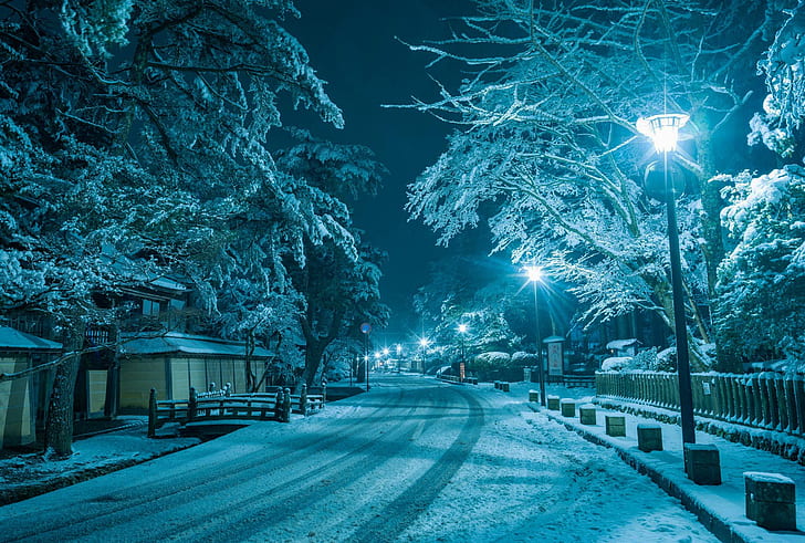 musim dingin, jalan, salju, malam, kota, rumah, jalan, lampu, Wallpaper HD
