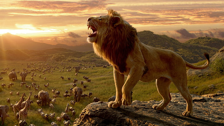 Movie, The Lion King (2019), Lion, Mufasa (The Lion King), HD тапет