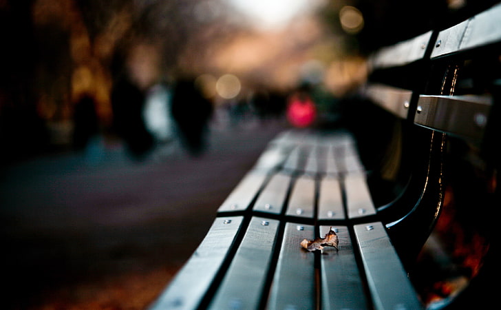 Save My Love For Loneliness, black wooden bench, Love, Seasons/Autumn, Leaf, Bench, Save, Loneliness, HD wallpaper