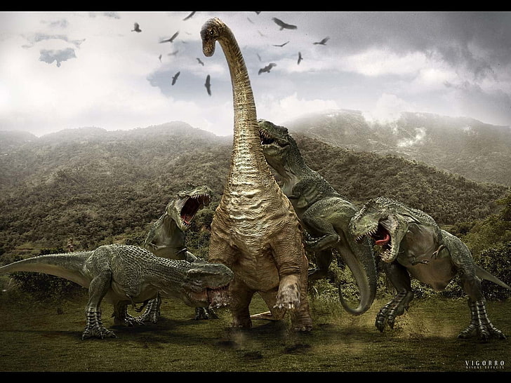 quattro dinosauri T-rex, animale, dinosauro, Sfondo HD