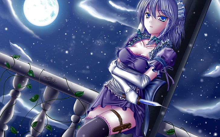 touhou-Anime HD Wallpaper, female with purple hair animated digital wallpaper, HD wallpaper