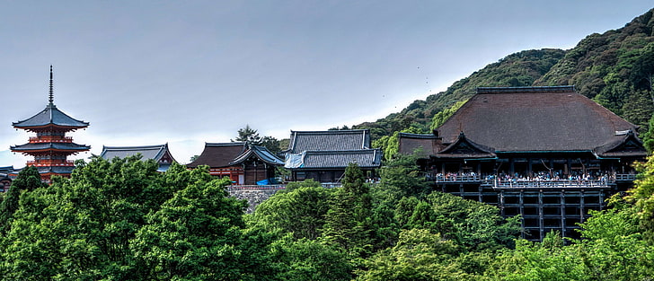 architecture, asia, attraction, buildings, culture, daylight, famous, farm, green, house, japan, japanese, kiyomizu dera, kyoto, landmark, landscape, outdoors, scenic, sightseeing, summer, temple, HD wallpaper
