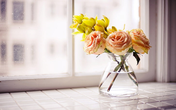 flores, rosas, vaso, peitoril da janela, amarelo, HD papel de parede