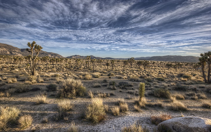 natureza, paisagem, HDR, céu, deserto, nuvens, HD papel de parede